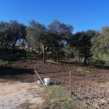 Вилла Casas De Marvao - Quinta Da Bela Vista Экстерьер фото