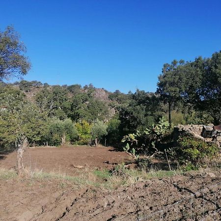 Вилла Casas De Marvao - Quinta Da Bela Vista Экстерьер фото
