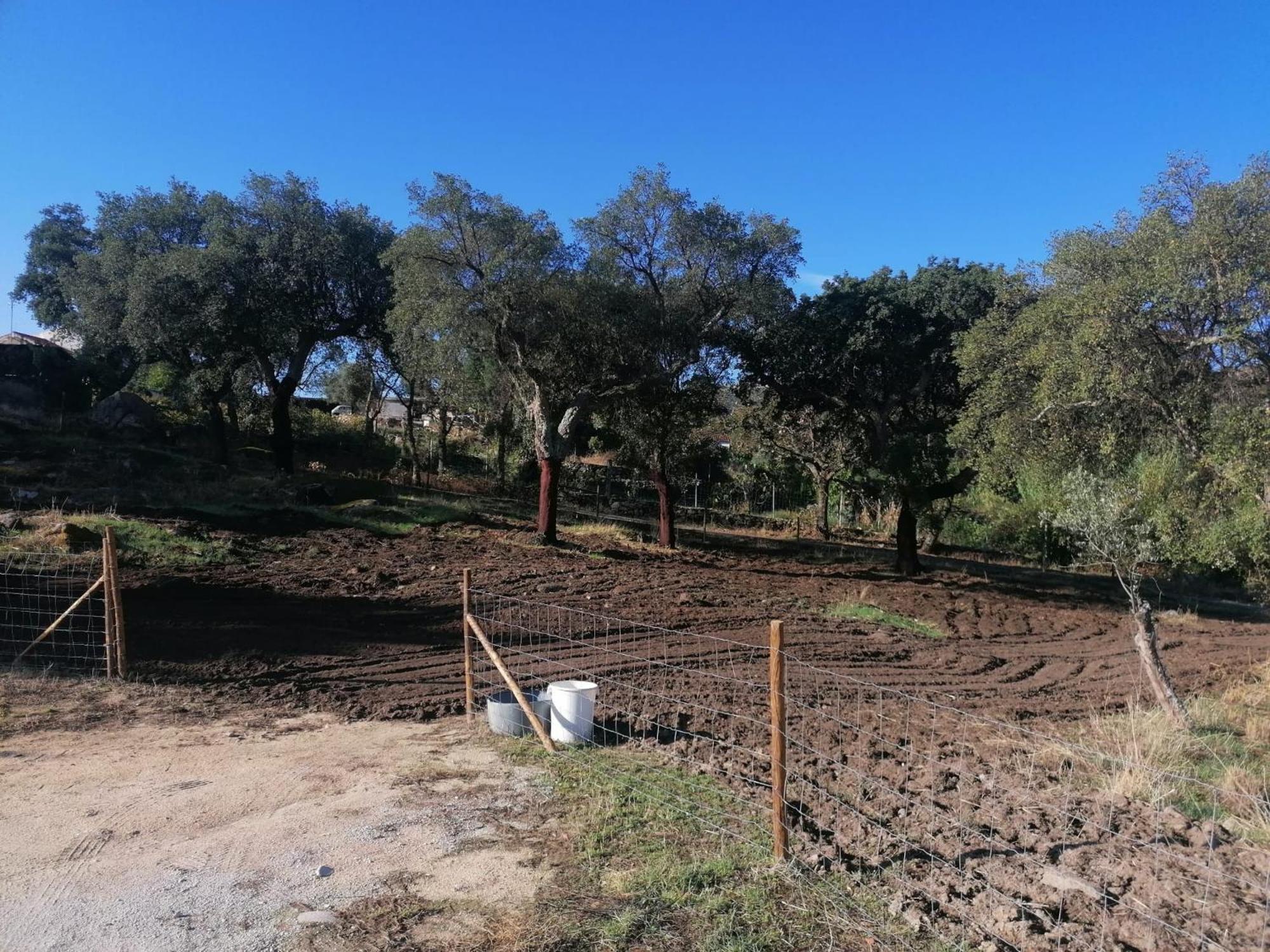 Вилла Casas De Marvao - Quinta Da Bela Vista Экстерьер фото